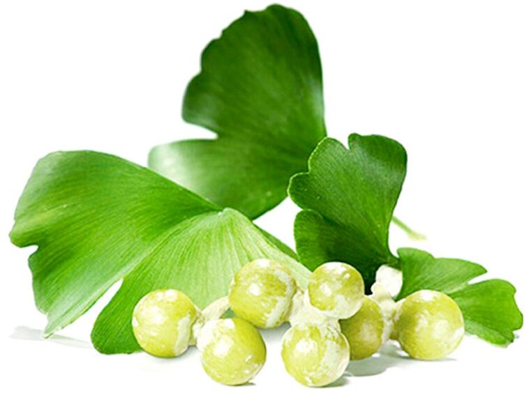 Frunzele de ginkgo biloba îmbunătățesc fluxul sanguin către țesuturile penisului